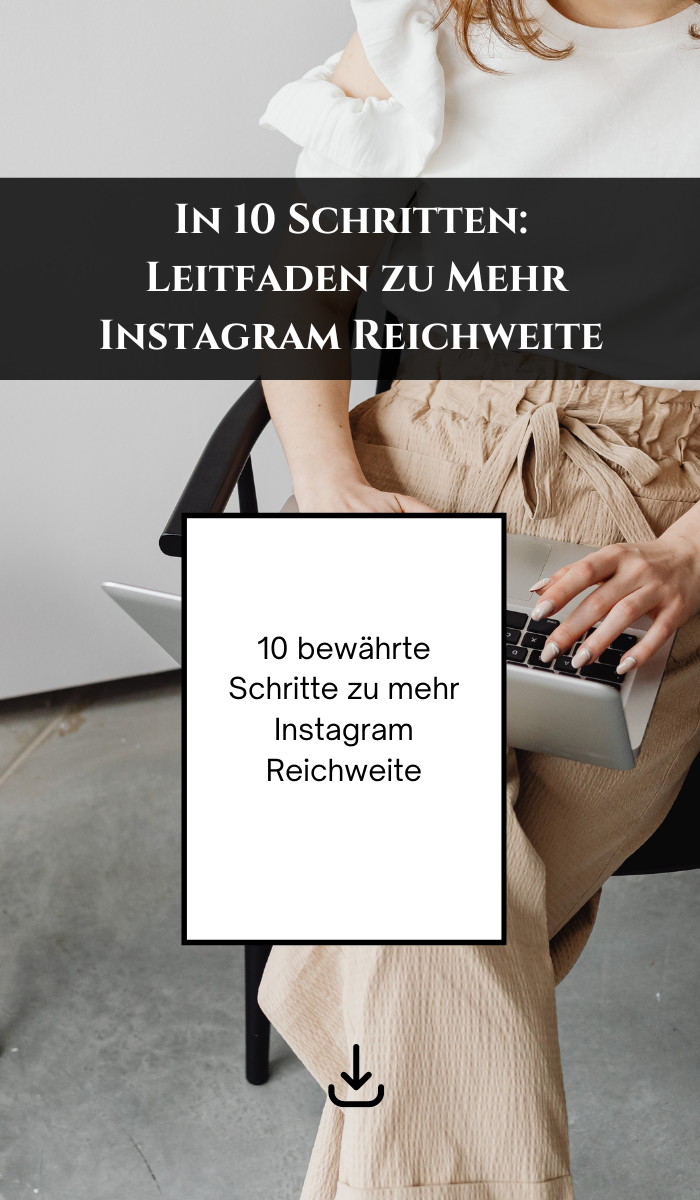 braun und weiß Freebie Workbook Download Instagram Story